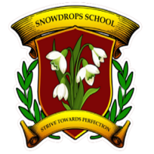 Snowdrops School- https://schooldekho.org/snowdrops-school-559