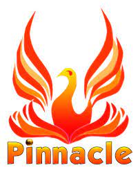 Pinnacle Global School- https://schooldekho.org/PINNACLE-GLOBAL-SCHOOL-8705