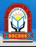 Sacred Soul Convent Senior Secondary School- https://schooldekho.org/Sacred-soul-convent-school-7593