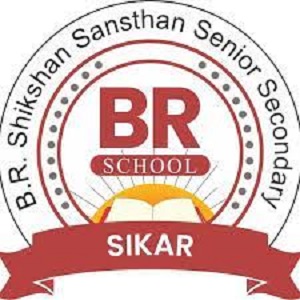 B.R. Shikshan Sansthan Senior Secondary School- https://schooldekho.org/B.R.-Shikshan-Sansthan-Senior-Secondary-School-4919