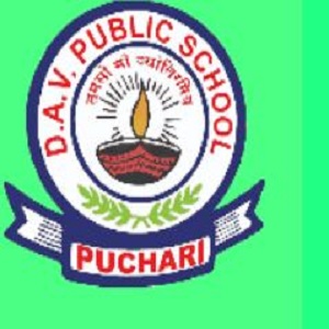 D.A.V. Public School- https://schooldekho.org/d.a.v.-public-school-1873