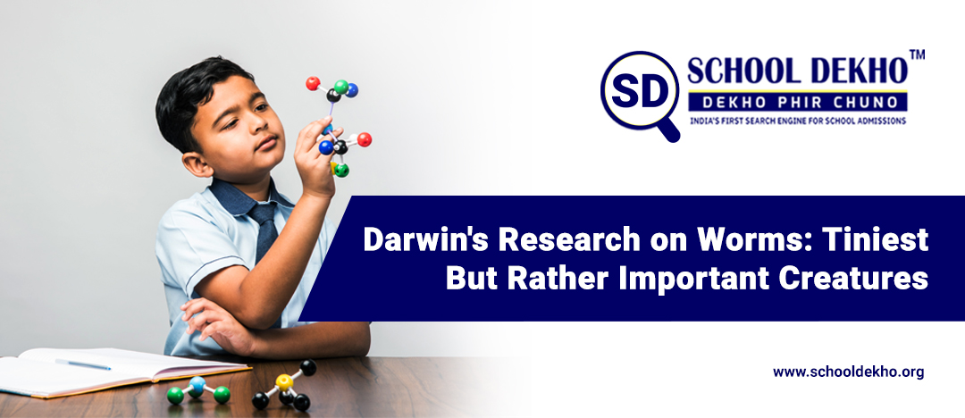 Darwin's Research on Worms: Tiniest But Rather Important Creatures