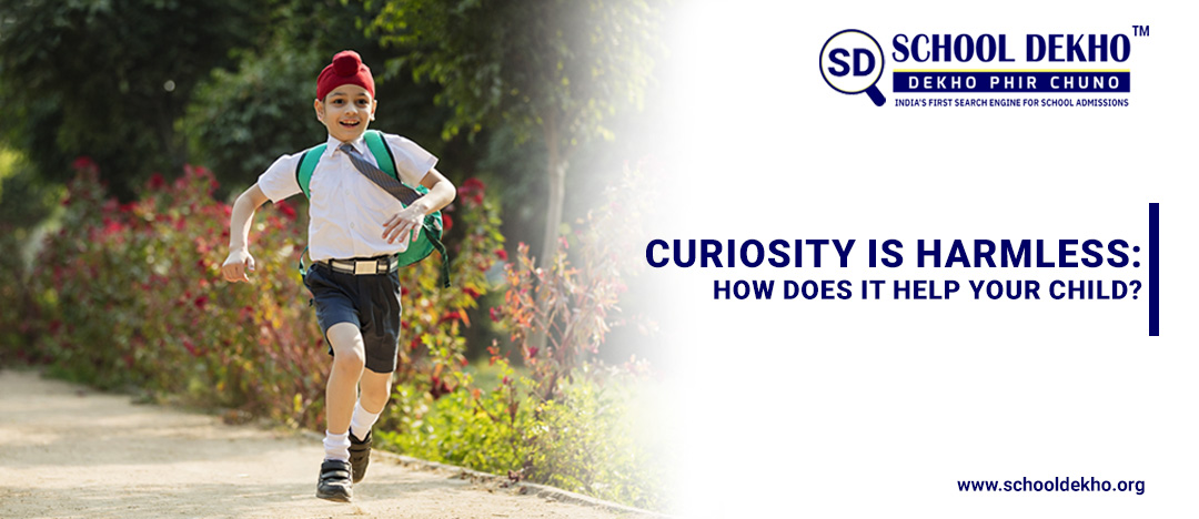 Curiosity Is Harmless: How Does It Help Your Child?